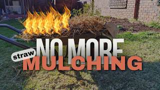 Me, Mulch? Never again ! #strawmulch