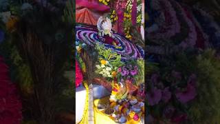 जय श्री श्याम 🚩🌹 #shorts #viral #khatushyam #kanhiyamittal #viralvideo #shortvideo #trending #trend