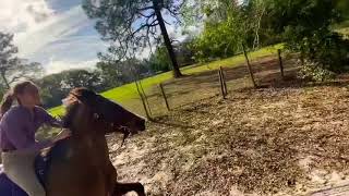 RACING Our Horses BAREBACK!