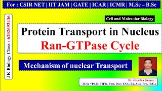 Protein transport in nucleus | Ran-GTPase Cycle | Mechanism of Nuclear transport