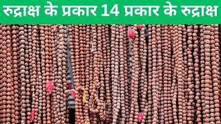 Types of Rudraksha !! 14 Types of Rudraksha !! Spiritual Sanskriti