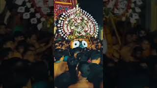 Jai jagannath ll jagannath Swami ll jagannath Rath Yatra jagannath Swami ll #shatrunjaya #shubigirao