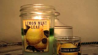 Bath and Body Works Candle Review- Lemon Mint Leaf COMBO: 6 oz. MASON JAR + 1.3 oz. mini