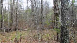 Homes for Sale - Lots 21 & 22 Quail Hollow Dr Crossville TN 38555 - Dave Goodwin