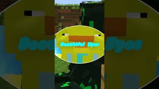 The Best Minecraft Edit Youve Ever Experienced... #satire