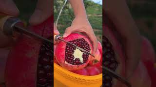 Satisfying fresh pomegranate cutting skill #fruit #fresh #satisfying #fruitcutting