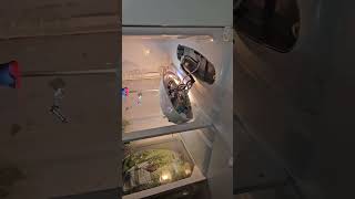 Replacing an Indesit fridge thermostat - isolate electrical supply during process