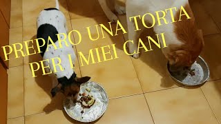 Faccio una torta per i miei cani - ci provo ! - Risultato : sorpresa !!!