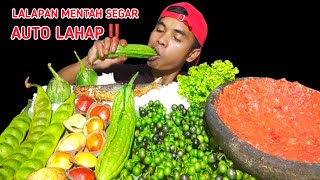 MUKBANG LALAPAN MENTAH SAMBAL TERASI IKAN ASIN‼️LALAP PETAI,JENGKOL,PARE,LEUNCA,TERONG,SALADA BOKOR