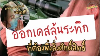 ภารกิจควบคุมดูแลช้าง 55 เชือก!! ในงานพิธีแห่ผ้าขึ้นธาตุ | หมอโบว์ หมอตัวเล็กกับคนไข้ตัวใหญ่