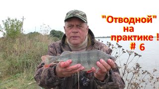 "ОТВОДНОЙ"№6 Ловля зачетных окуней !!!