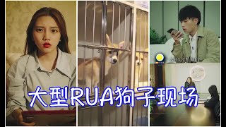 【莫邪】 -大型RUA狗子现场！你的新年愿望是？来留言万一实现了呢