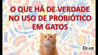 O QUE HÁ DE VERDADE NO USO DE PROBIÓTICOS EM GATOS?