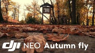 DJI Neo Autum fly with Freewell ND 8 Filter (learning to fly RC 2)