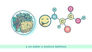 Cómo maximizar el valor de las proteinas vegetales | Itac Professional