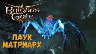 Бой с пауком-матриархом — Baldur's Gate 3 #14