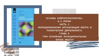 «Основы нейропсихологии» А.Р.Лурия. Прямой эфир 3.