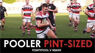 Pooler Pint-Sized - Neath 12-54 Pontypool