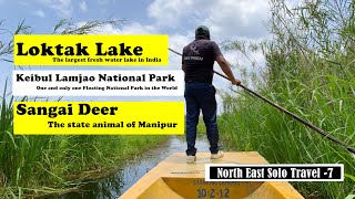 North East Solo Travel 7 | Imphal to Moirang | Loktak | Keibul Lamjao National Park | Sagai Deer |