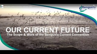 Benguela Current Convention Corporate Video - Portuguese