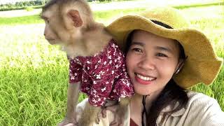 good monter with smart baby monkey the morning