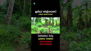 House for sale in Horana - Contact: 0772756003, 0761166460 - LAK ADS #Shorts