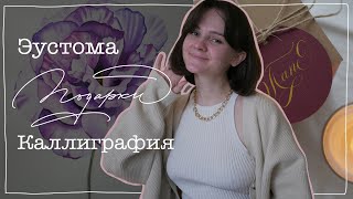 VLOG | Делаю уборку | Пишу каллиграфией | Упаковываю подарки | Распаковываю косметику | Эпизод 3