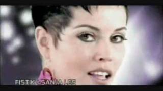 Fistik i Sanja Les - Carsija (DJ True Player preview).wmv