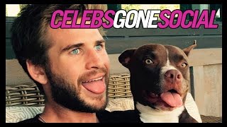 Liam Hemsworth and More Sexy Stars with Dogs