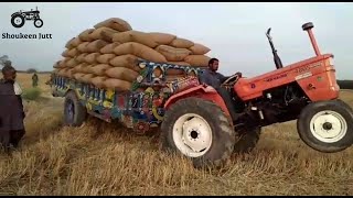 Excellent Performance Of Fiat 480 Tractor With Wheat Loaded Trolley In Fields With Ultra Power 💪👌