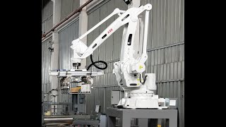 Australia Bottle & Carton Palletizer with ABB Robot