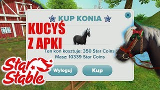 Star Stable 📱 KUPUJEMY KUCYKA Z APLIKACJI