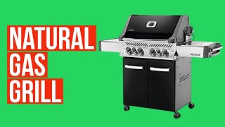 Natural Gas Grill 🔥 Top 2: Best Natural Gas Grills