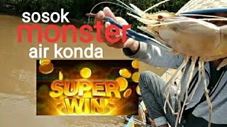 BABON MONSTER AIR KONDA, TARIKANNYA BIKIN KEPALA PENING❗ MANCING UDANG GALAH