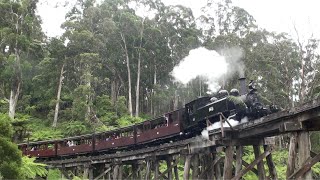 Chasing 14a on the Lunch Train | Puffing Billy Reopens 28/11/20