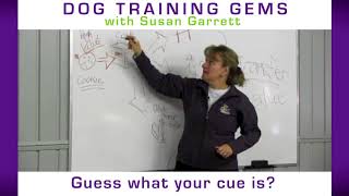 Transfer of Value in Your Dog Training