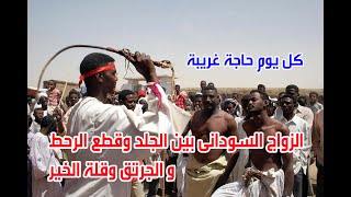 الزواج السودانى بين الجلد وقطع الرحط و الجرتق وقلة الخير .. كل يوم حاجة غريبة