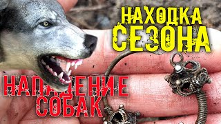 НАХОДКА СЕЗОНА! НАПАДЕНИЕ СОБАК НА КОПАТЕЛЯ! СУПЕР КОП 2021. METAL DETECTING FINDS RUTUS ALTER 71 4K