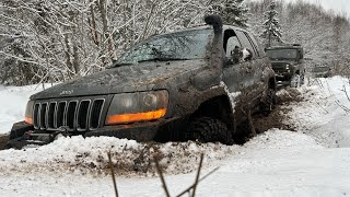 Как мы искали военных ежей😁