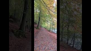 Autumn🍂walk in Bern 🇨🇭🥰 #nature #bern #swissnature #travel