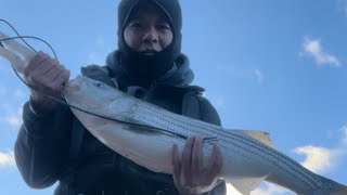 November to remember Cap Cod Canal.