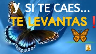 🌸💙Y SI TE CAES... ¡TE LEVANTAS!💙🌸 - 🥀Proverbio Japonés🥀 - (escuchar con 🎧)