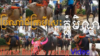 Horse buffalo racing​ ceremony on Pchum Ben Day ប្រណាំងក្របីសេះ ​នៅ​វត្ត​វិហារ​សួគ៌​នា​ថ្ងៃ​ភ្ជុំ