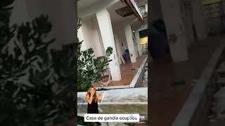 Casa con ocupas en Gandía , una vergüenza