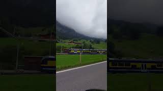 Grindelwald #switzerland  🇨🇭 #shortsvideo #shorts #shortsfeed #shortsviral