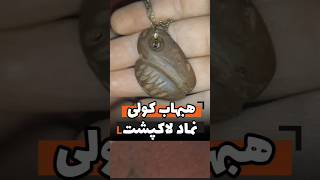 هبهاب کولی 🔥🔥 نماد لاکپشت 🐢 بدون دعا ، طلسم و خرافات دیگر دیسکریپشن حتما مطالعه شود