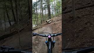 Sick downhill end to a trail #mountainbikeskills #shortvideo #mtb #downhill #downhillmtb #chonk