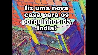 Como fazer uma casa para porquinhos da Índia?