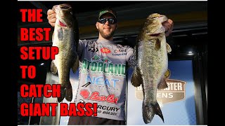 The Best Setup To Catch GIANT BASS!