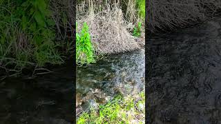 Relaxing water flow